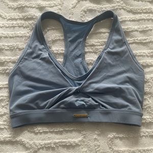 Whitney Simmons blue sports bra
